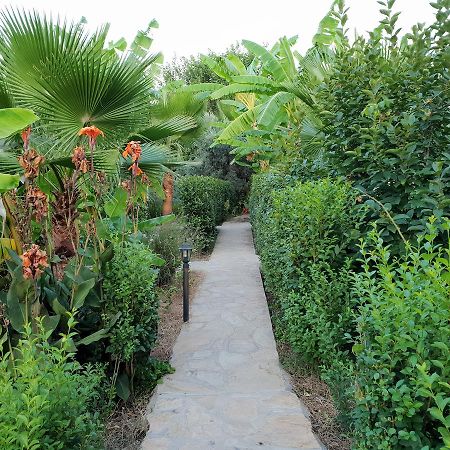 Estelar Bungalow Çıralı Kültér fotó