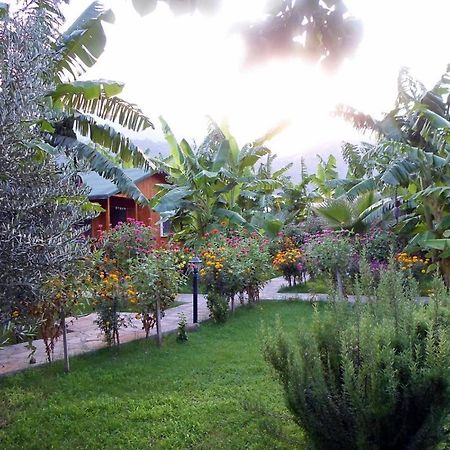 Estelar Bungalow Çıralı Kültér fotó