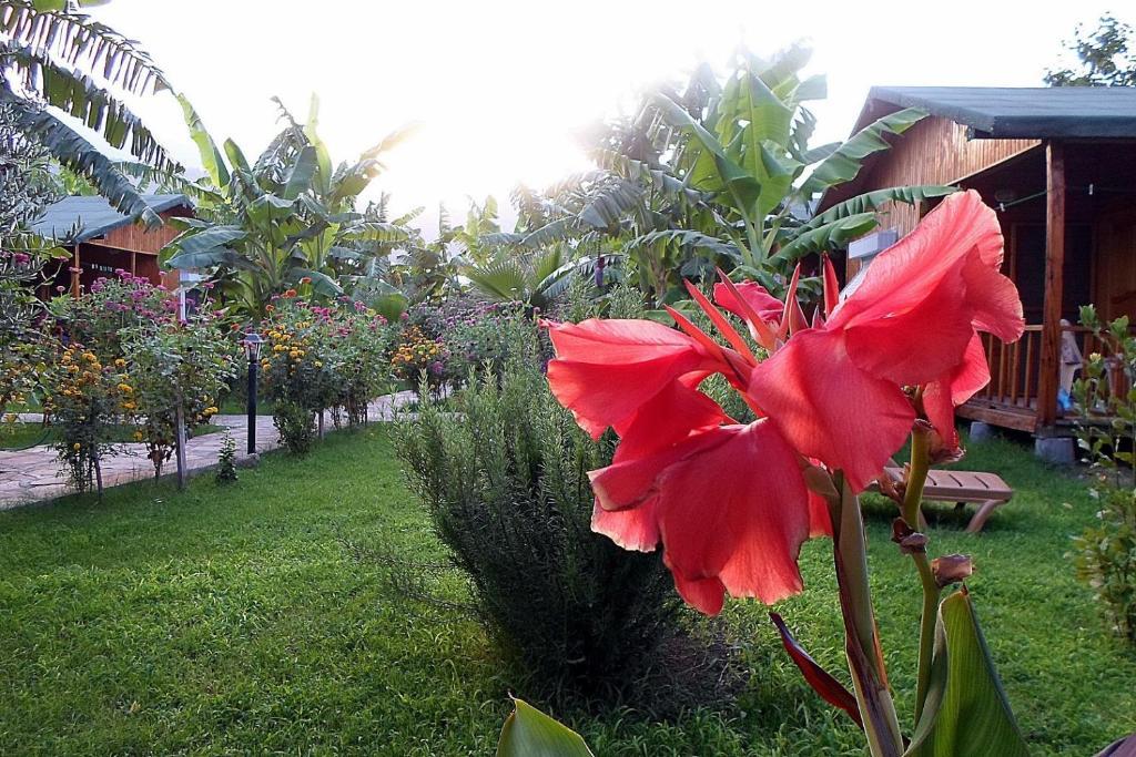 Estelar Bungalow Çıralı Kültér fotó