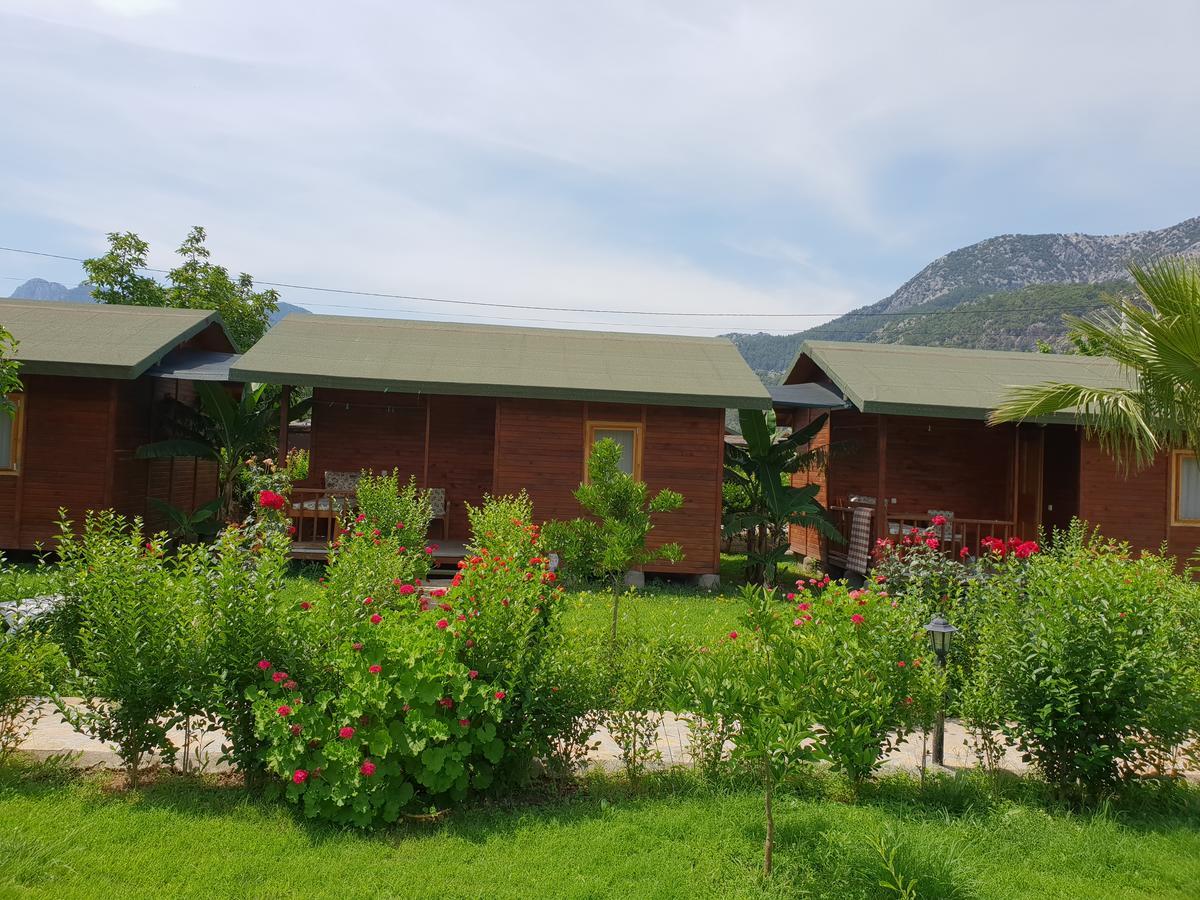 Estelar Bungalow Çıralı Kültér fotó