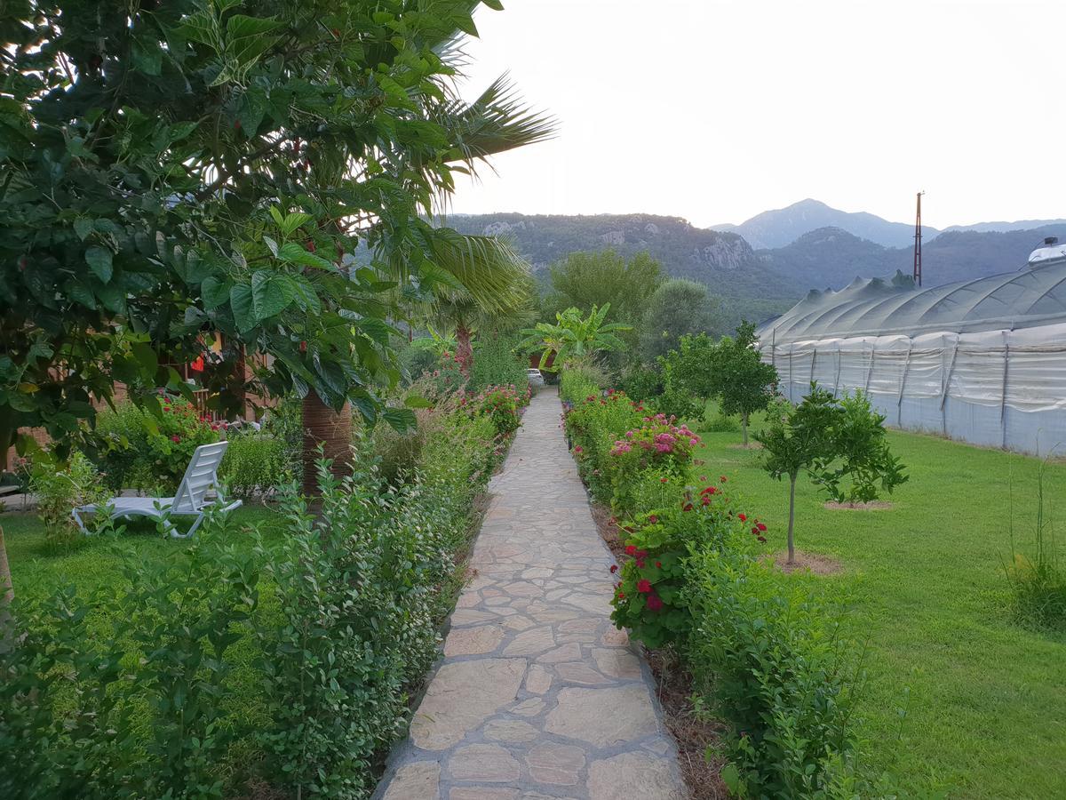 Estelar Bungalow Çıralı Kültér fotó